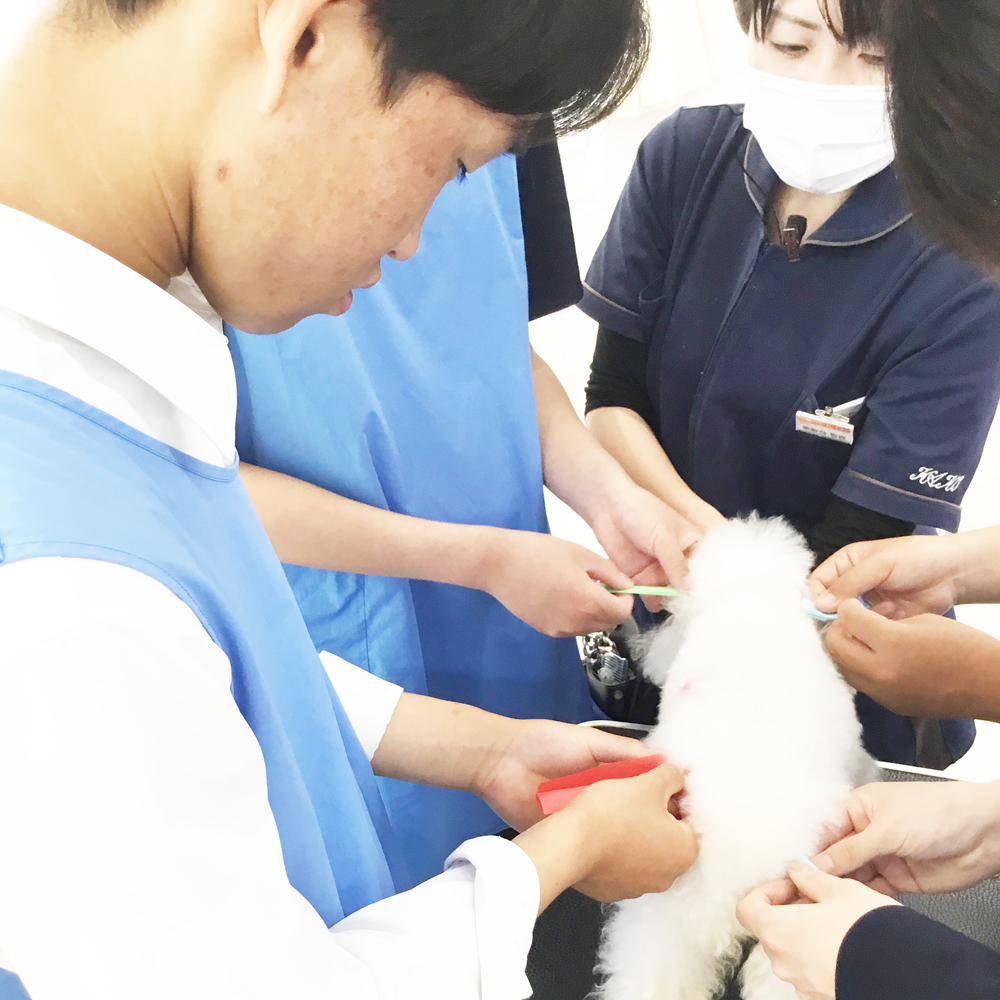 高校生の職業体験♪